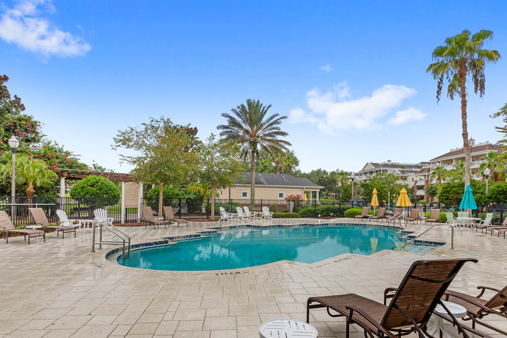 pool with palm trees